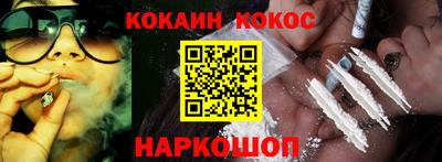 индика Камышлов