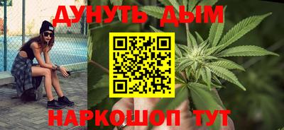 индика Камышлов