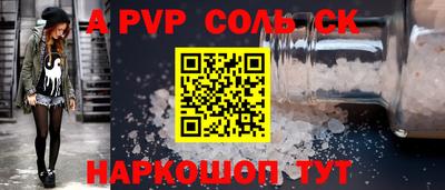 индика Камышлов