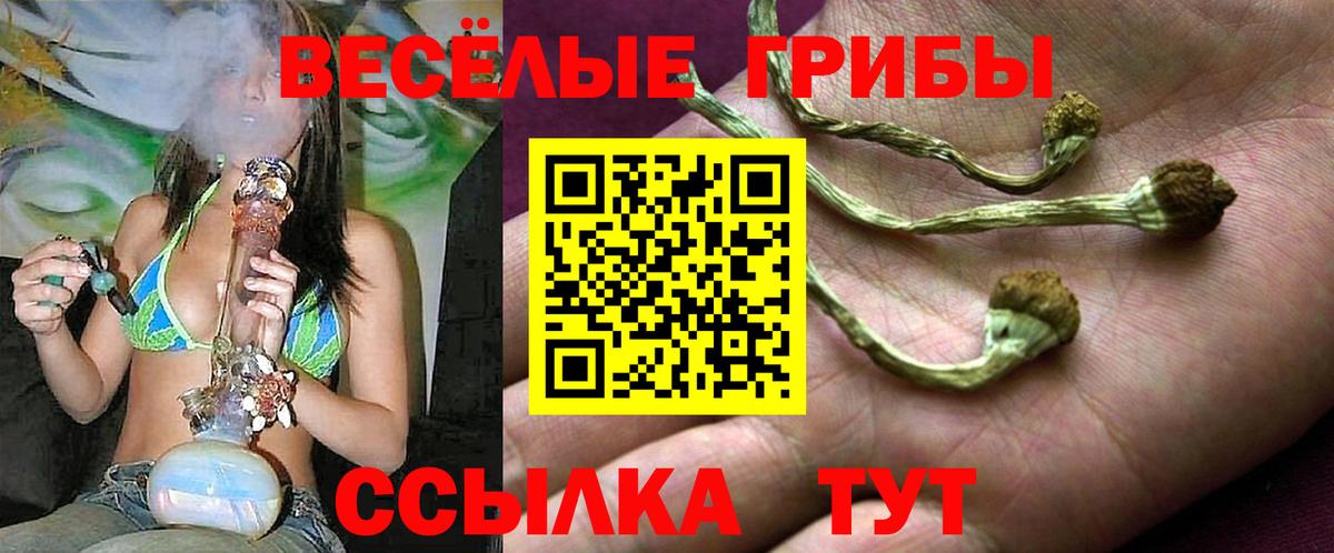 Великий Устюг  Псилоцибиновые грибы мицелий  Галлюциногенные грибы ЛСД  Вход с VPN 
